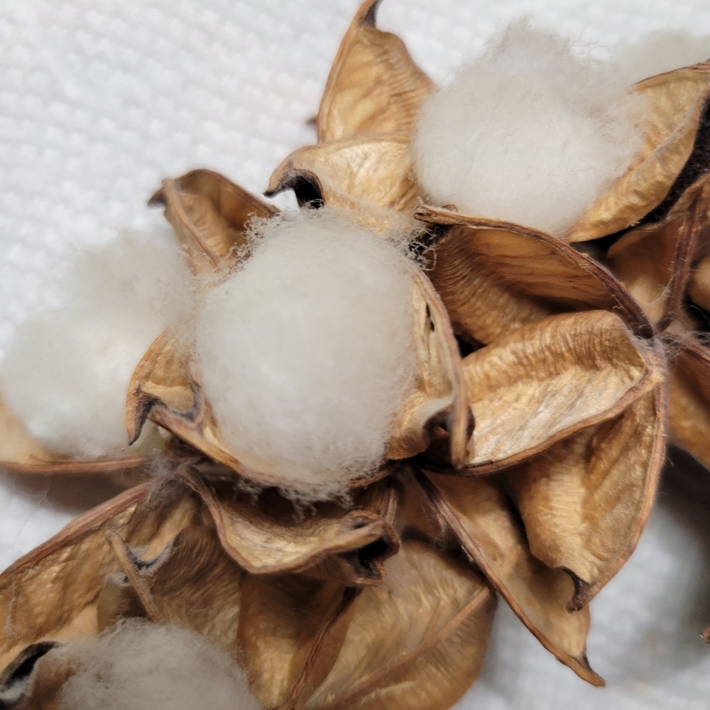 Cotton Boll Pod Wreath - Picture 3 of 3